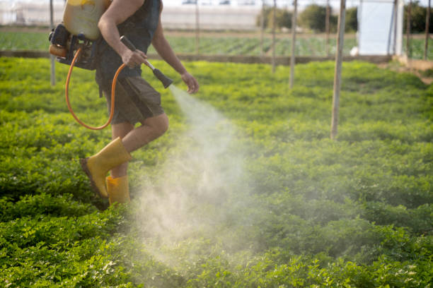 Pest Control Cost in El Verano, CA