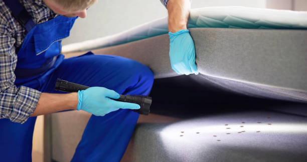 Pest Prevention Services in El Verano, CA