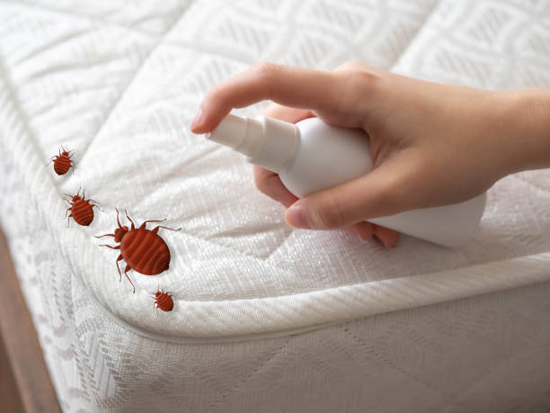 Best Commercial Pest Control Services  in El Verano, CA